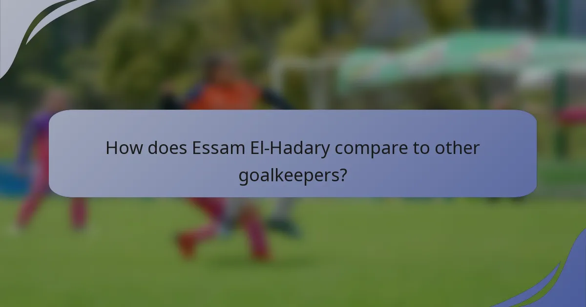 How does Essam El-Hadary compare to other goalkeepers?
